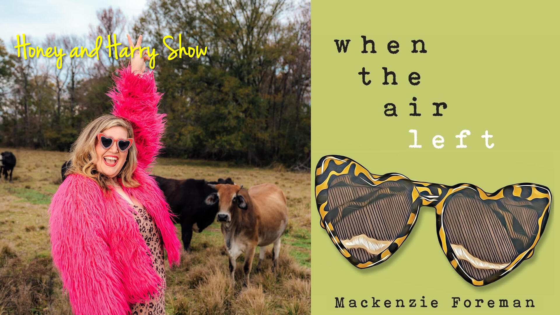 When the Air Left Thumbnail