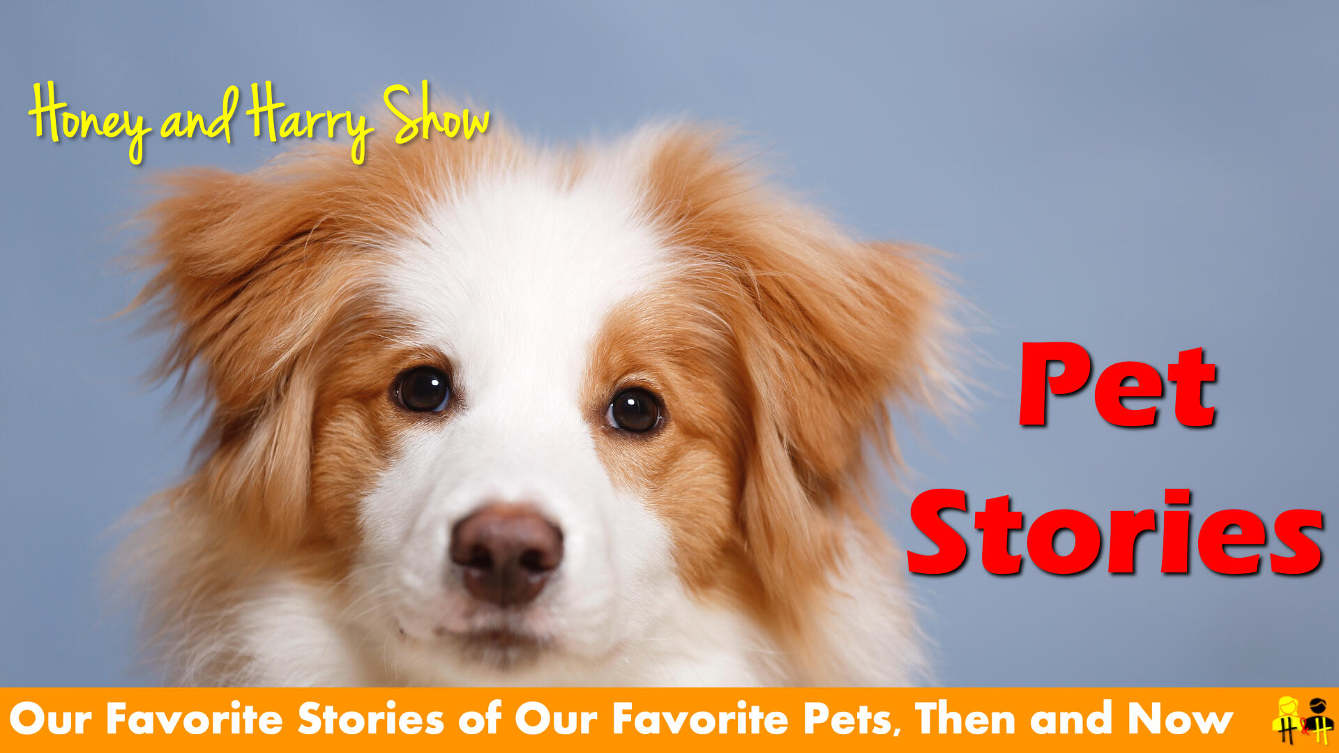 Pet Stories Thumbnail